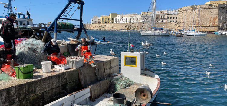 città della Puglia - LaTerradiPuglia.it