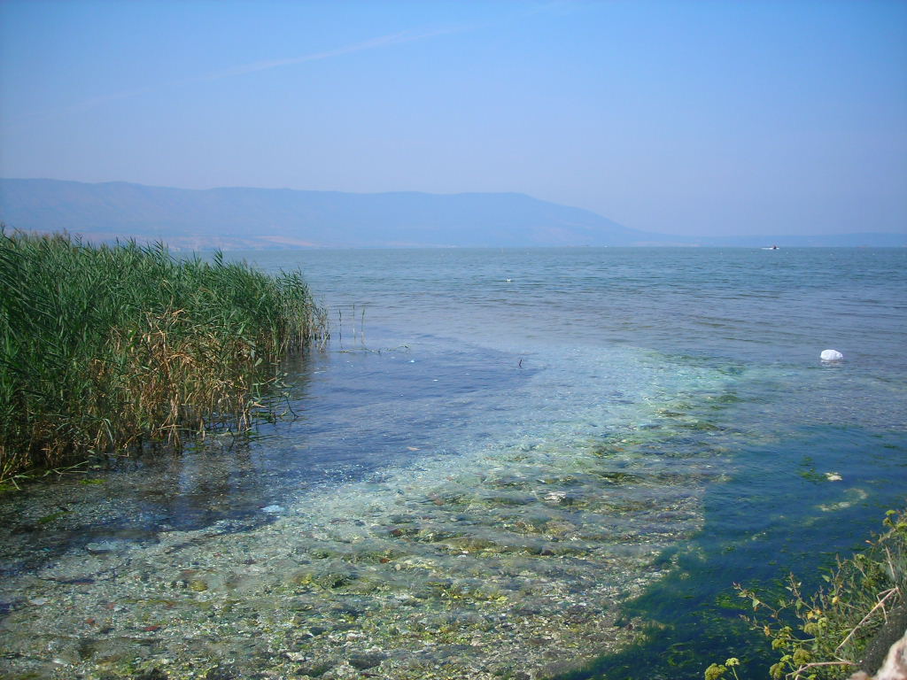 lago di varano – La Terra di Puglia