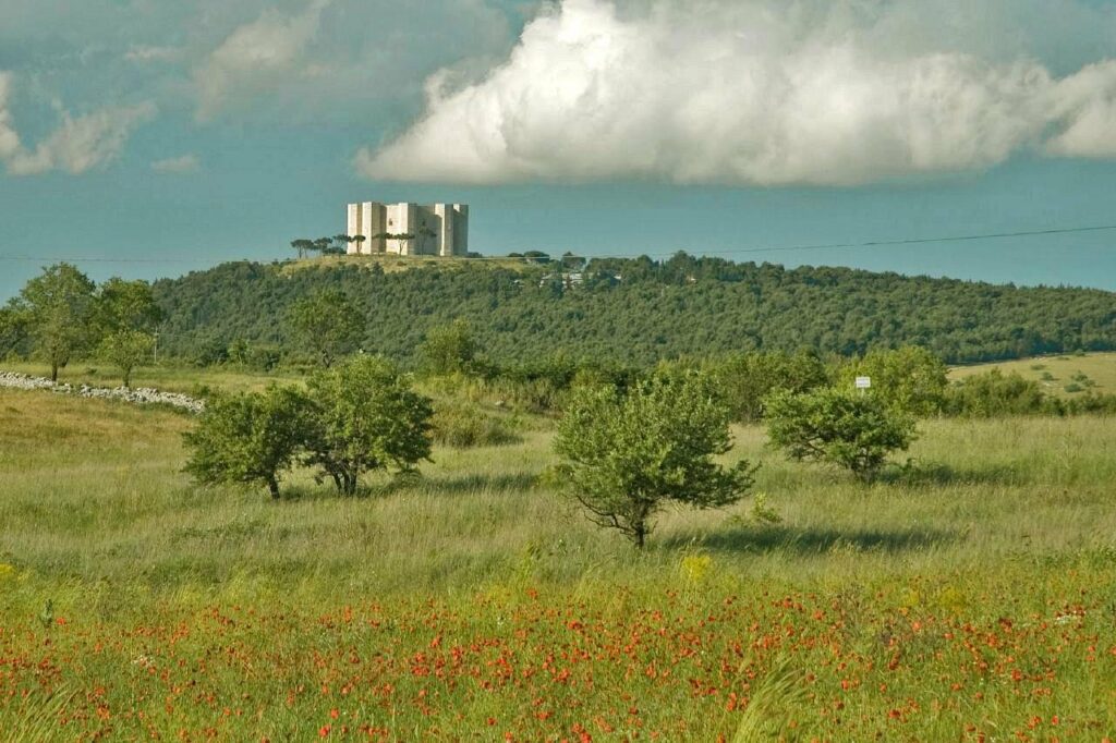 parco nazionale dell'alta murgia - Laterradipuglia.it