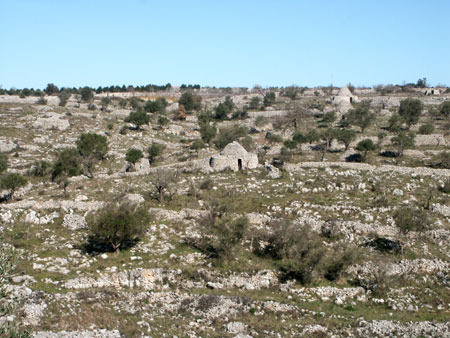 parco alta murgia - Laterradipuglia.it