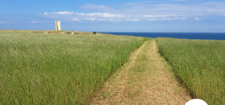 torre del serpente, otranto - Laterradipuglia.it