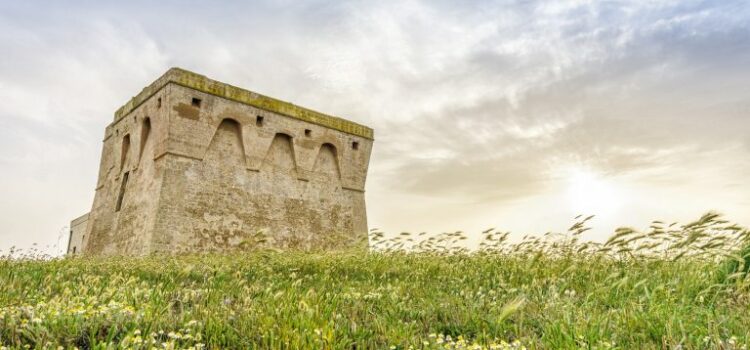 Riserve naturali Le Cesine e Torre Guaceto: voglia di natura!